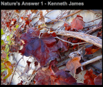 Nature's Answer