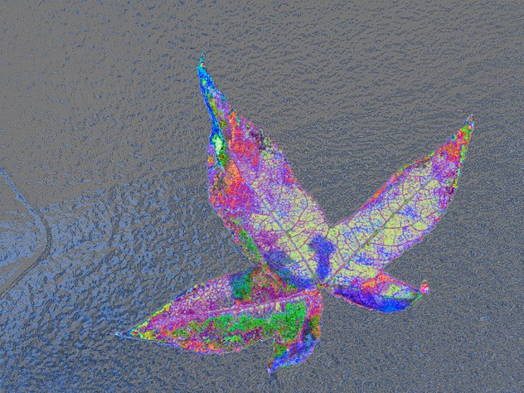 greetings - may i give U a hug