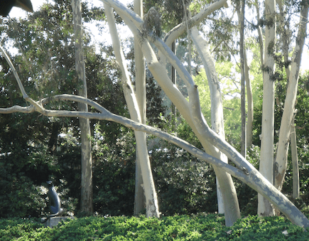 Screen Shot 2014-01-28 at 1.31.44 PM