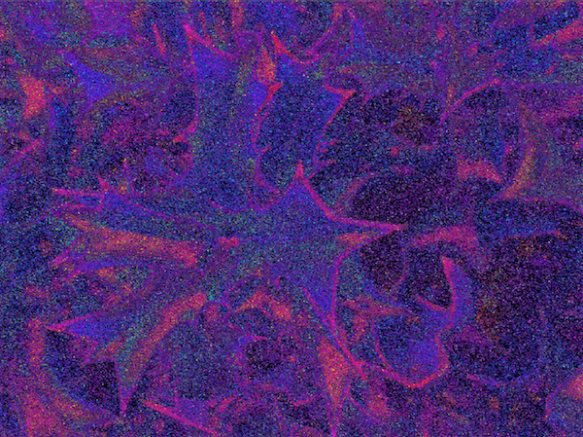 Screen Shot 2014-06-11 at 5.17.18 PM