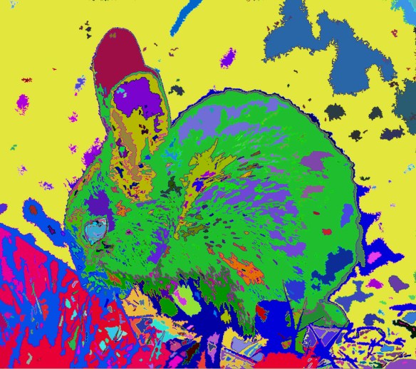 killer bunny & so an artist is hungry Nature & natures beauty