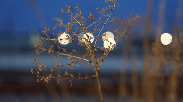 Screen Shot 2015-12-02 at 1.27.04 PM