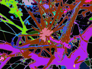 tree spiders mitered