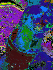 Screen Shot 2016-08-17 at 3.26.45 PM