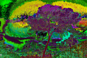 Screen Shot 2016-08-29 at 1.18.57 PM