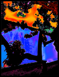 remember the artist on 8/29 - buy a box of cards and ask a million friends to do so!