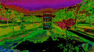 screen-shot-2016-10-24-at-10-15-01-pm